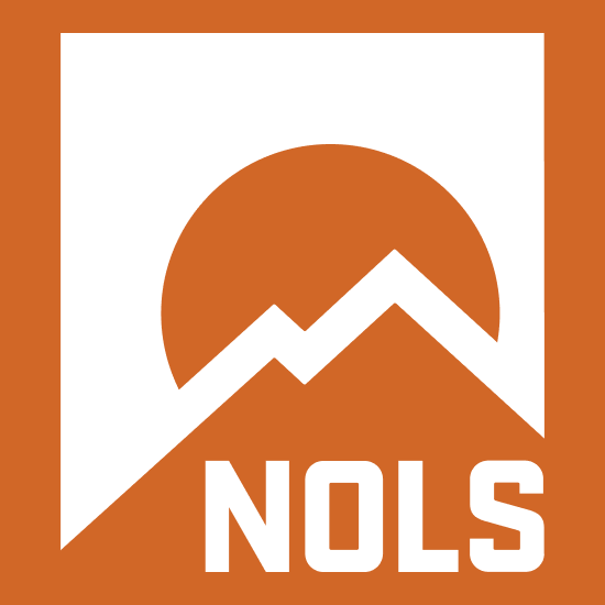 NOLS Orange BG Favicon