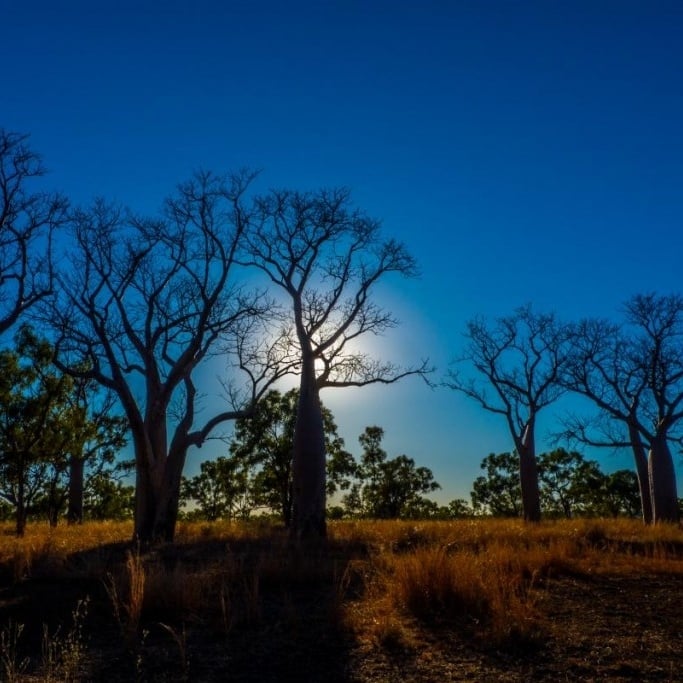 brian-hensien-australia-scenery-square-blog-profile