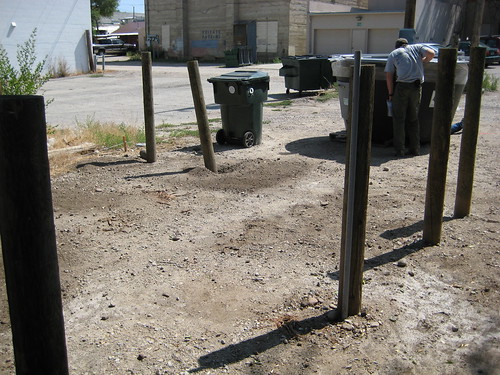A new bin on the block. . .