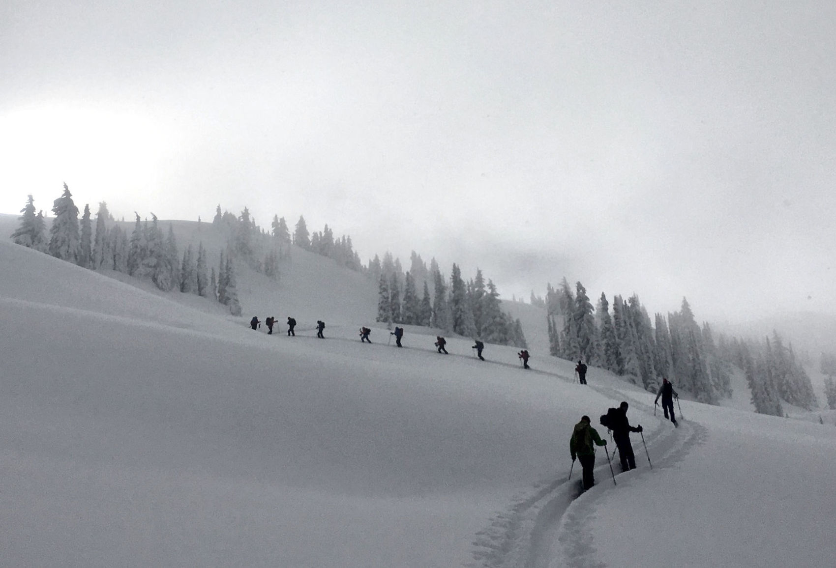 Guided backcountry ski group heading uphill in the Selkirk Mountains of British Columbia