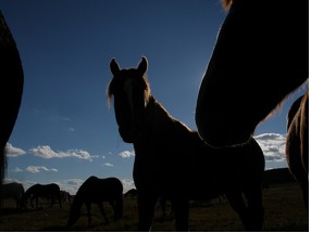 Oil and Gas in Wyoming’s Red Desert