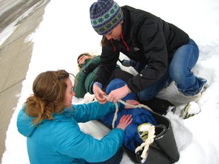Wilderness Medicine Training and More Gear!!