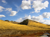 Help Save MORE of the Wyoming Range!