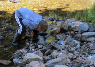 Boy observing water 