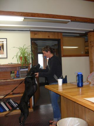 SAM_1249