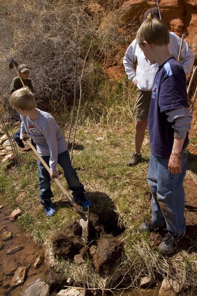 Willow_Planting18_small Willow_Planting18_small