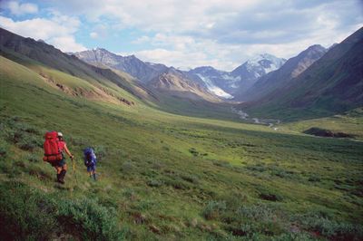 Nols_owned_image19_xxl