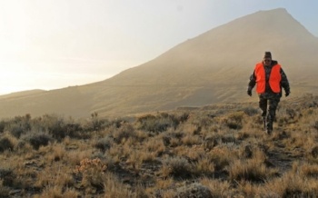 Antelope Hunt photo by Kelsey Dayton