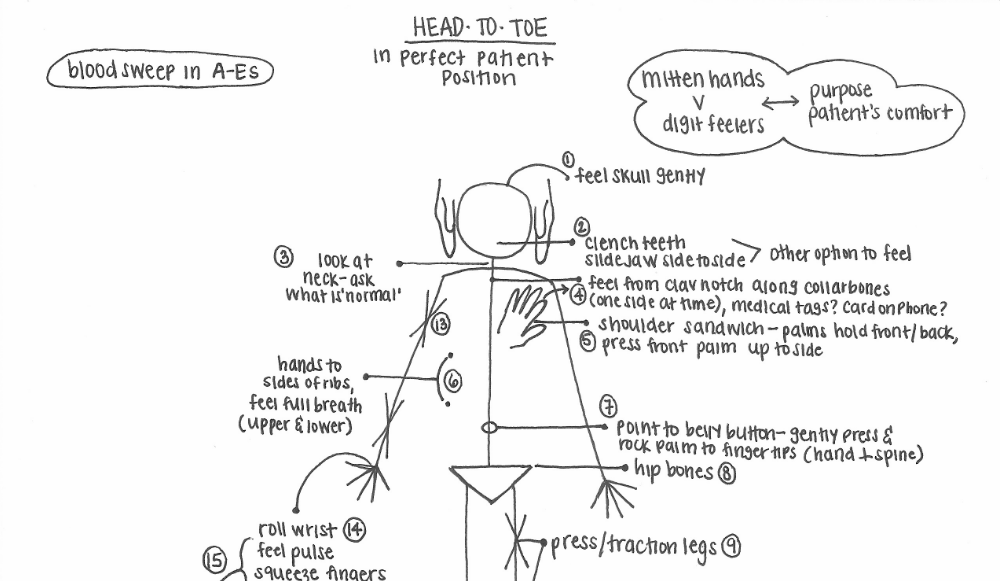 Patient Assessment: Visualizing the Head-to-Toe Exam