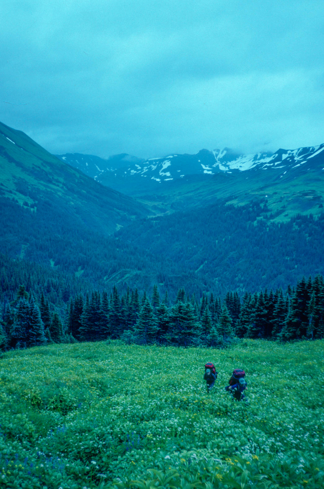 Case Study: Anaphylaxis in the Backcountry