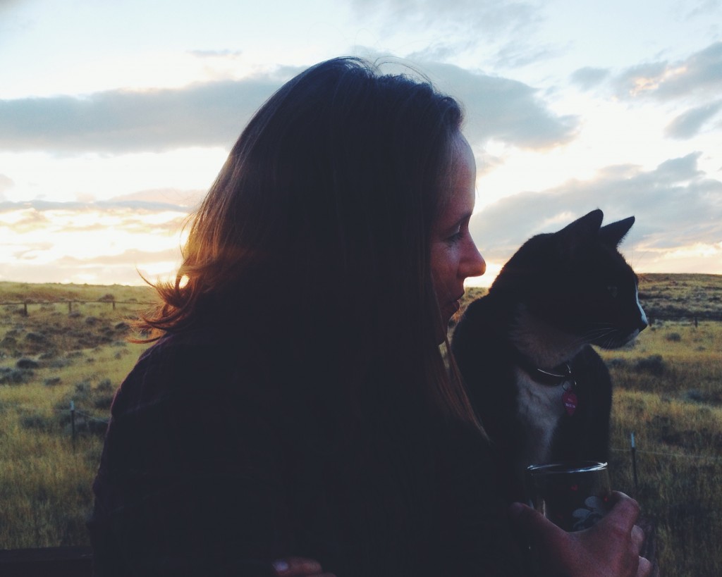 Cat companion