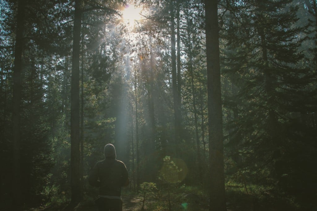 21 Quotes Guaranteed to Make You Crave the Outdoors