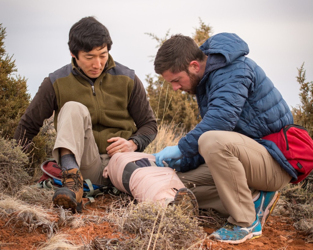 7 Materials That Can Be Used To Improvise a Splint