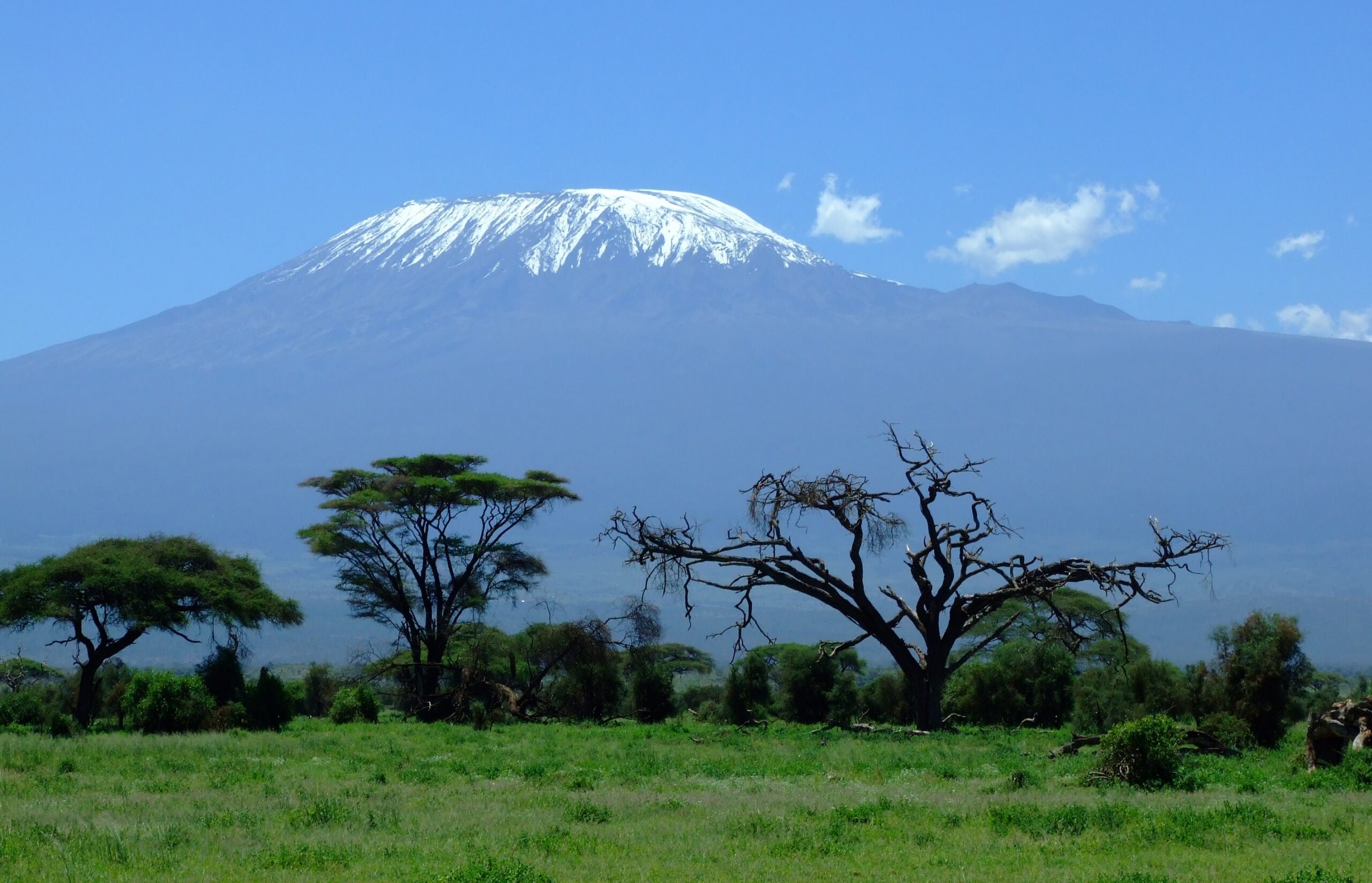 Pixabay