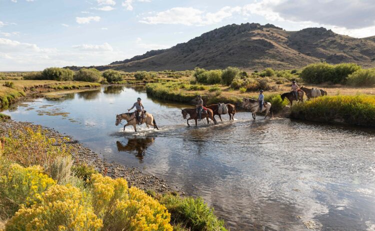 Wilderness Horsepacking – Adult