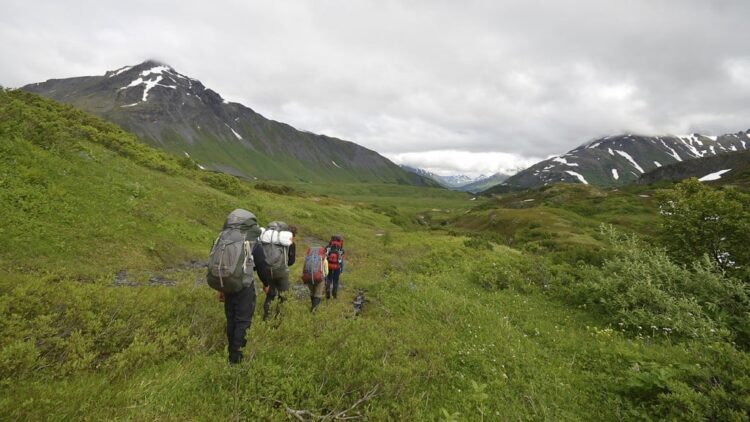 a few students backpacking through a lush green grassy area