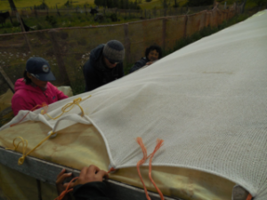 Patagonia-year-tarp