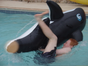 Shamu_7 Shamu_7