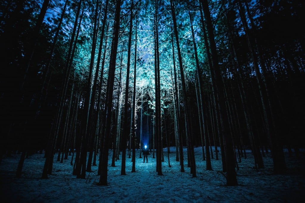 WMI Employee to Wilderness First Responder