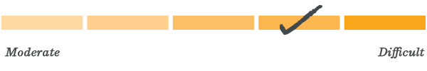 Level 4