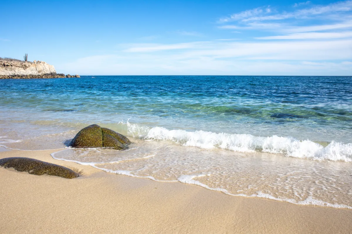 Case Study: Jellyfish Sting in Paradise