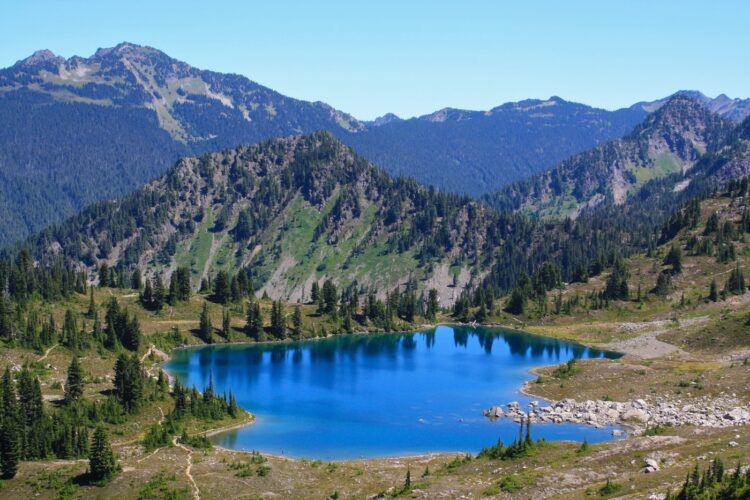 Cobalt-blue lake, called Lunch Lake, surrounded mountains and pines in Olympic National Park