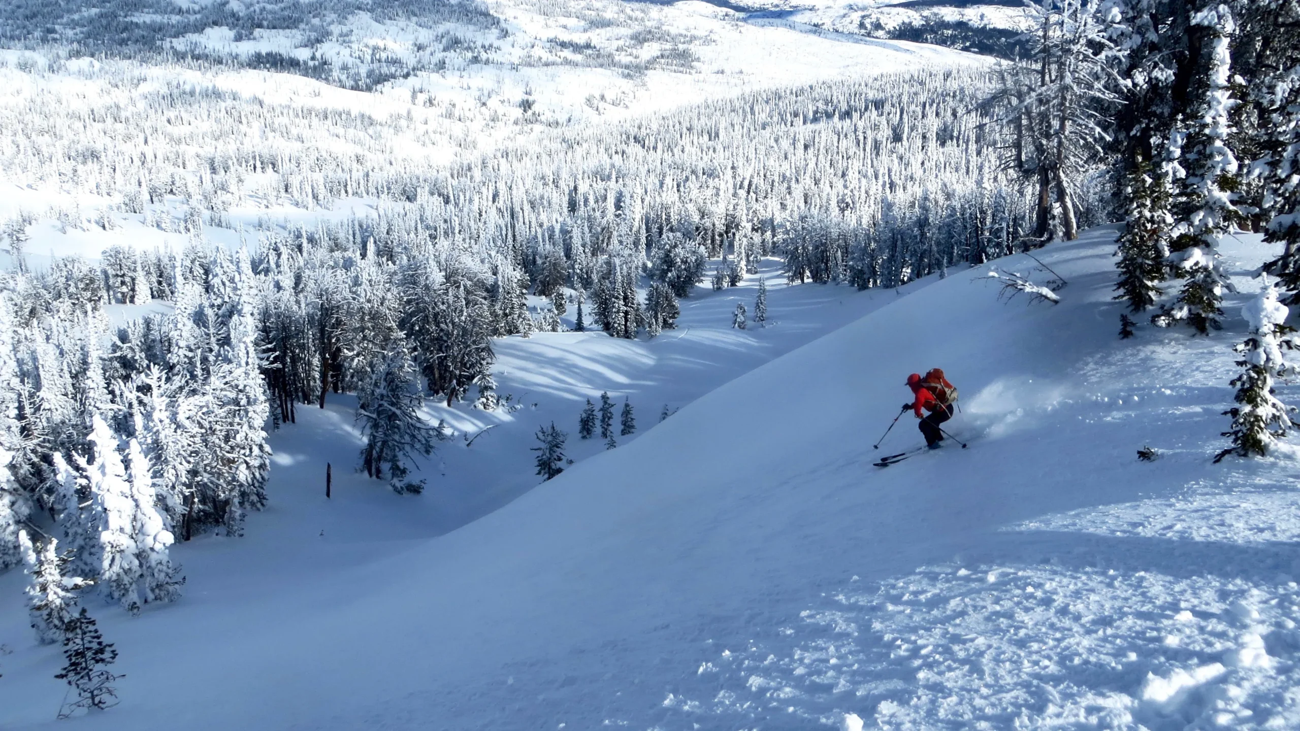 a skier descends a snowy slope that is in the shade