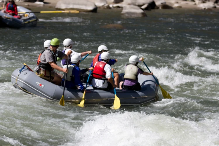 Rafters paddle through rapids on the Salmon River