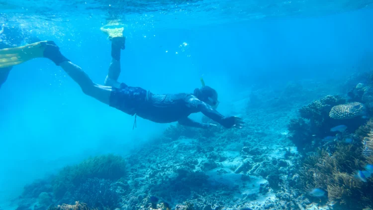 Snorkeler swims in the ocean in Fiji