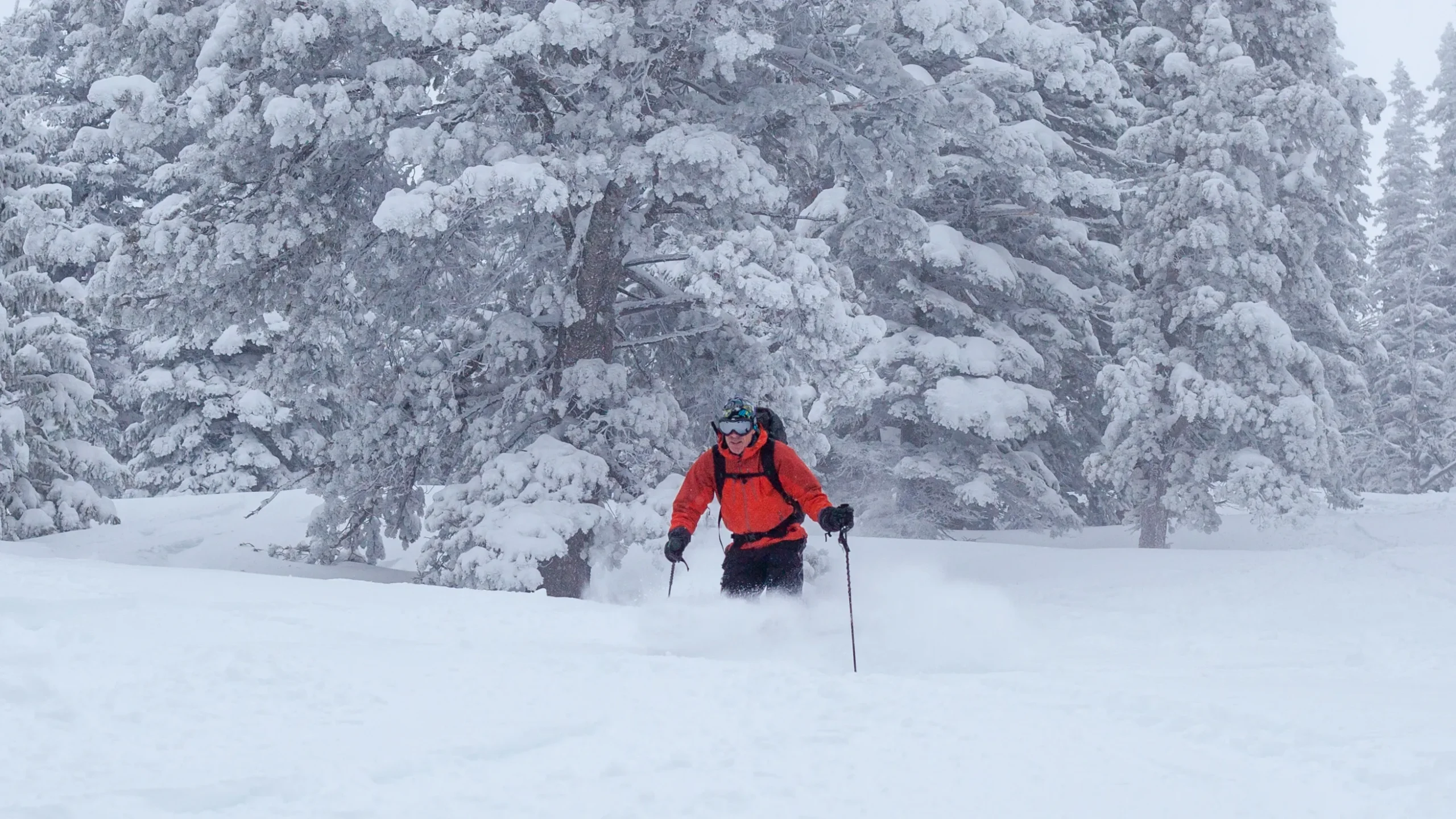 A person in a red coat skis through deep powder against a snowy background.