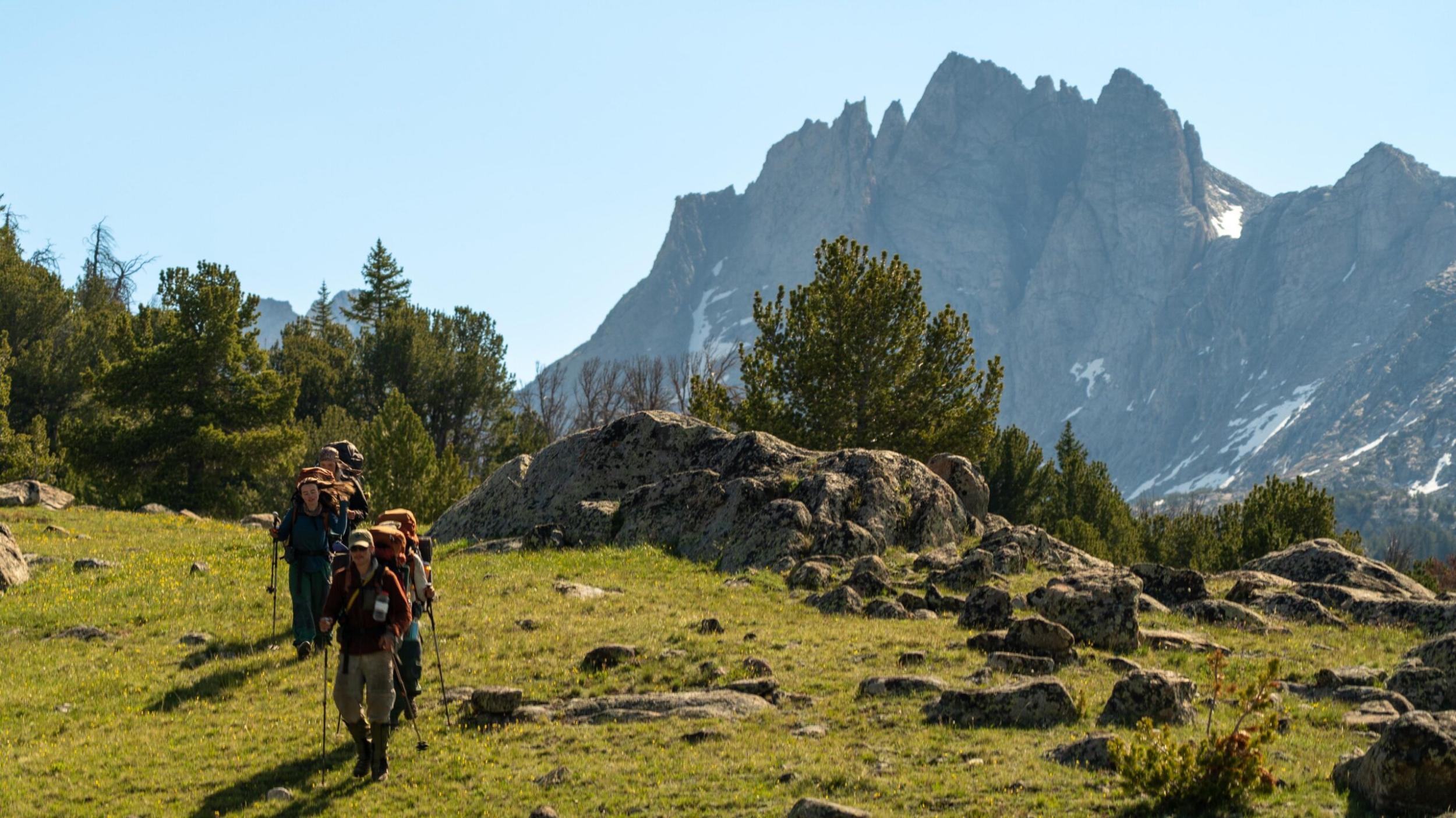 a group of hikers in a single line approach the camera. there are jagged granite peaks in the background