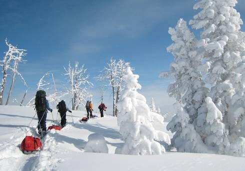 Four winter participants pull gear sleds uphill past snow-laden trees on a sunny day in Teton Valley.